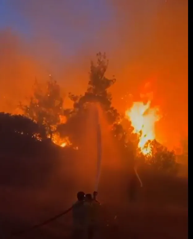 Türkiye’de 5 günde 342 yangın: 6 noktada alevler sürüyor