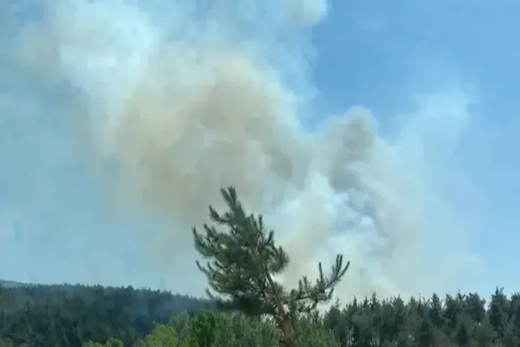 İzmir Kınık’ta orman yangını: Müdahale havadan ve karadan sürüyor