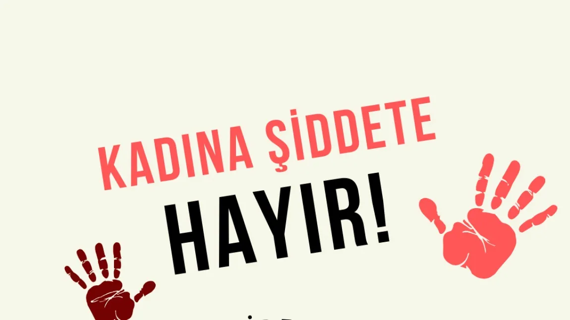 Meclis’ten kadına şiddetle mücadelede 113 maddelik yol haritası