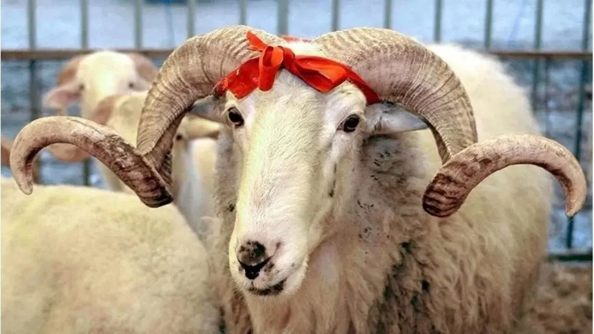 Kurban Bayramı tatili kaç gün? 9 gün olacak mı?