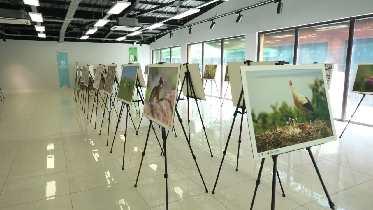 Türkiye’nin doğal güzellikleri Ormanya’da hayat buluyor