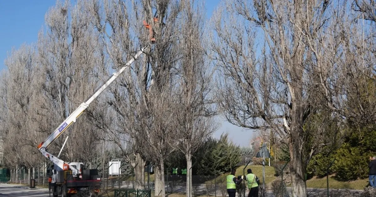 Eskişehir Sazova Parkı’nda çalışmalar devam ediyor