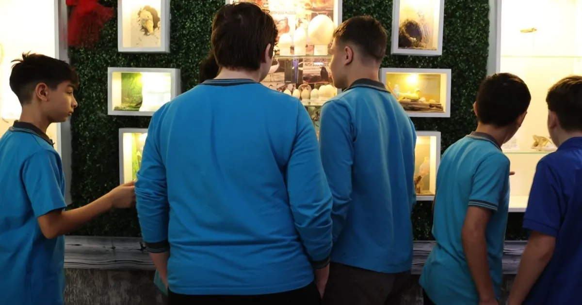 Samsun'da ortaokul öğrencilerinden okulda Doğa Müzesi