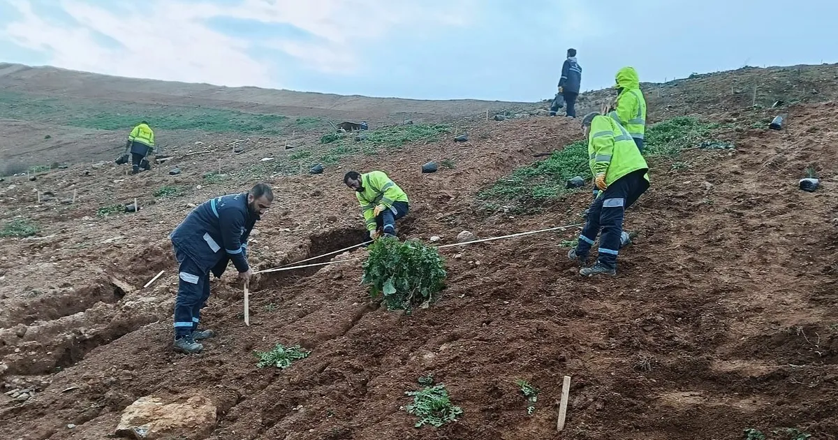 Kocaeli Gebze'de Büyükşehir’le yeşile dokunuş
