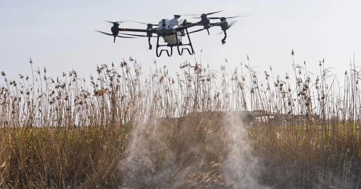 Sivrisinek ve zararlılara karşı İzmir modeli teknoloji sahada