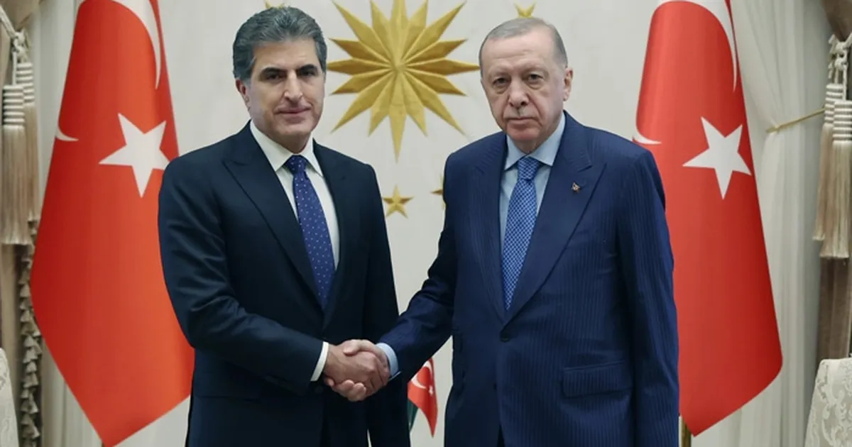 Erdoğan ile Barzani görüşmesinde 'Terörsüz Türkiye' vurgusu
