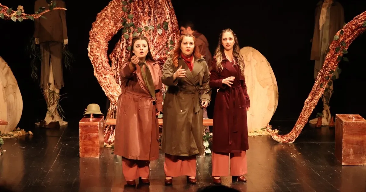 Ordu'da kadınların dünyasına dokunan yeni oyun - Gündem Haberleri