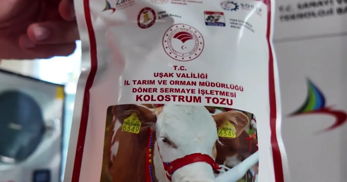 Uşak’ta Türkiye’nin ilk dondurarak kurutma kolostrom tesisi kuruldu... Hayvancılıkta yenilikçi adım hayata geçti