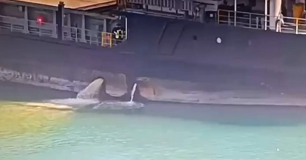 Mersin Limanı’nda denizi kirleten gemiye 13,1 milyon TL ceza