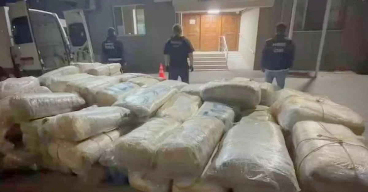 İzmir’de dev uyuşturucu operasyonu: 1,3 ton skunk ele geçirildi - Gündem Haberleri