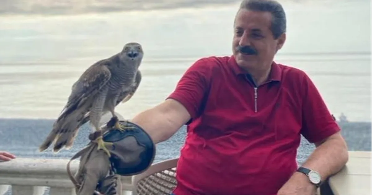 AK Parti Milletvekili Faruk Çelik, atmaca severlere müjdeledi... Artvin ve Rize’de geleneksel atmacacılığa hukuki güvence - Siyaset Haberleri