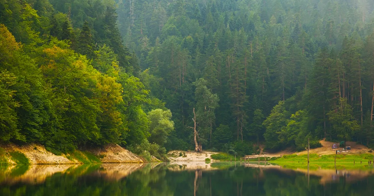 Milli parklar ve doğa korumada yeni dönem... Kanun teklifi TBMM'de kabul edildi