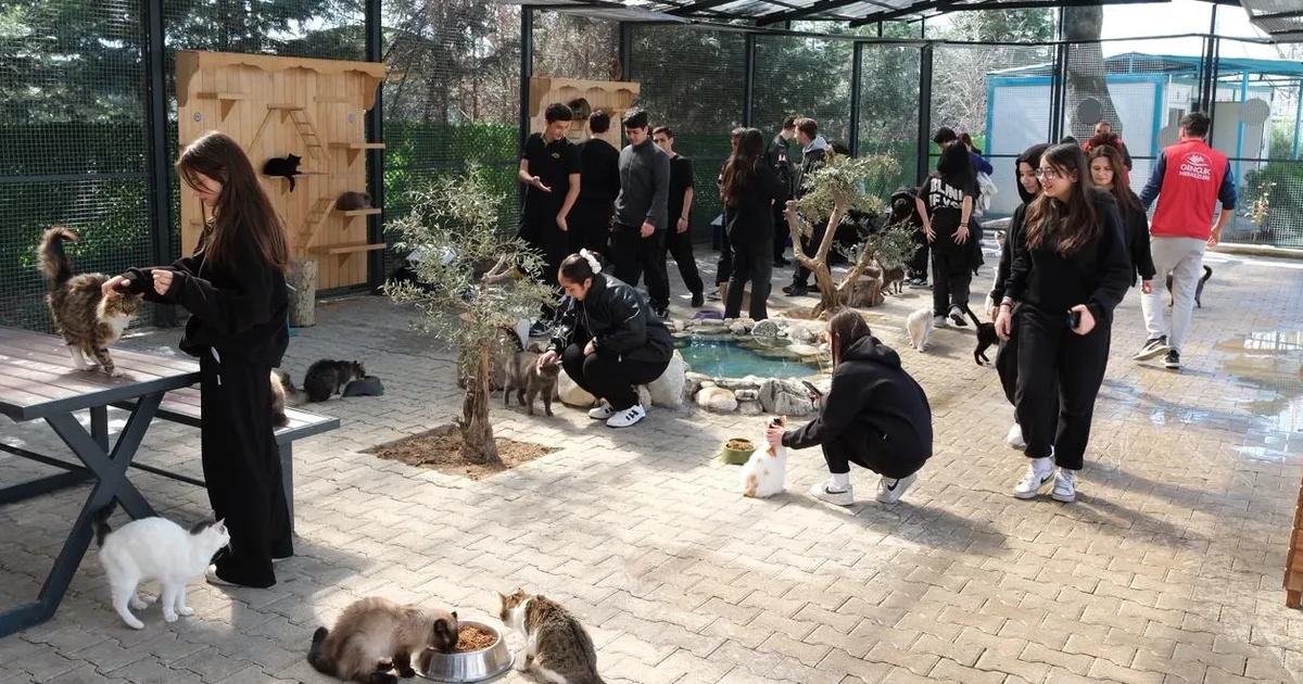 Bursa Yıldırım’da gençlerden patili dostlara sevgi ziyareti