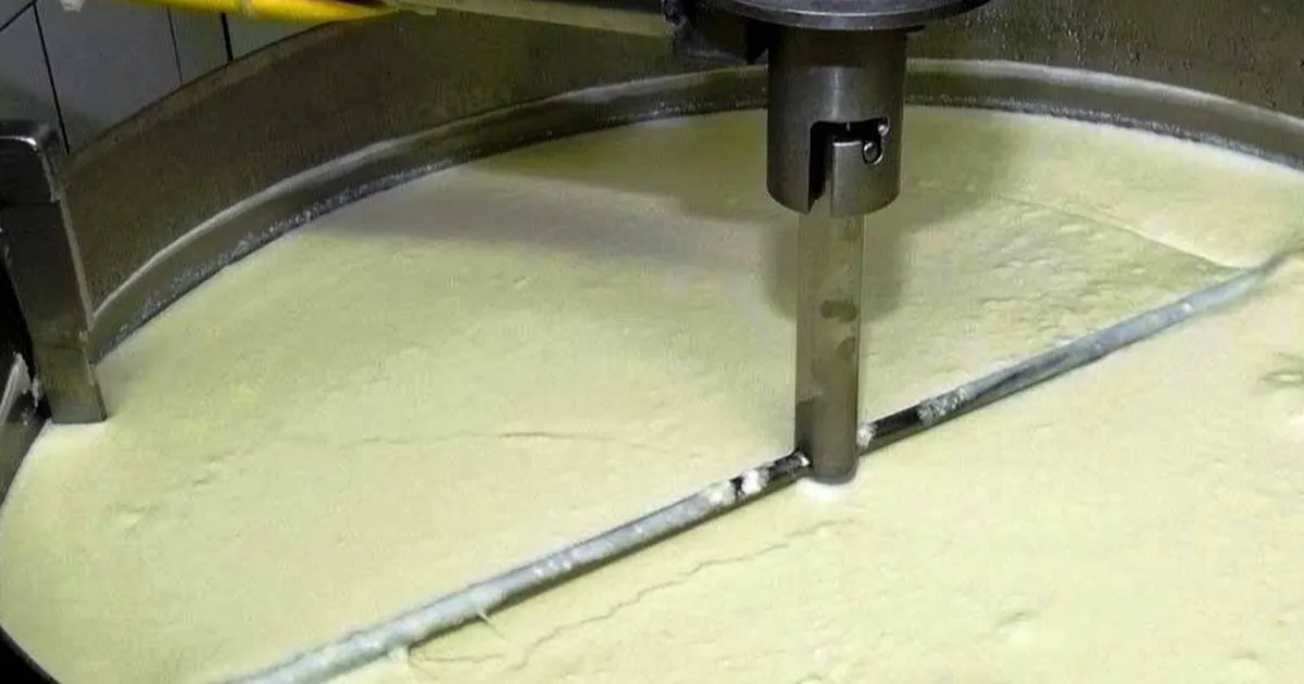 Süt ve süt ürünlerinde yoğurt üretimi arttı - Gündem Haberleri