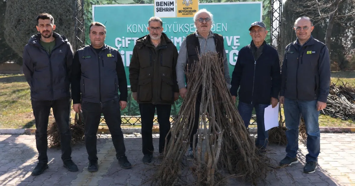 Konya Büyükşehir’den çiftçilere 23 bin 530 fidan desteği - Gündem Haberleri