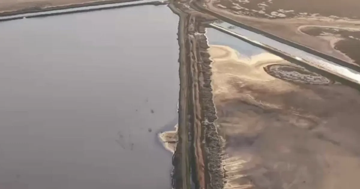 Aksaray’da yasa dışı avcılığa 25 bin lira ceza - Gündem Haberleri