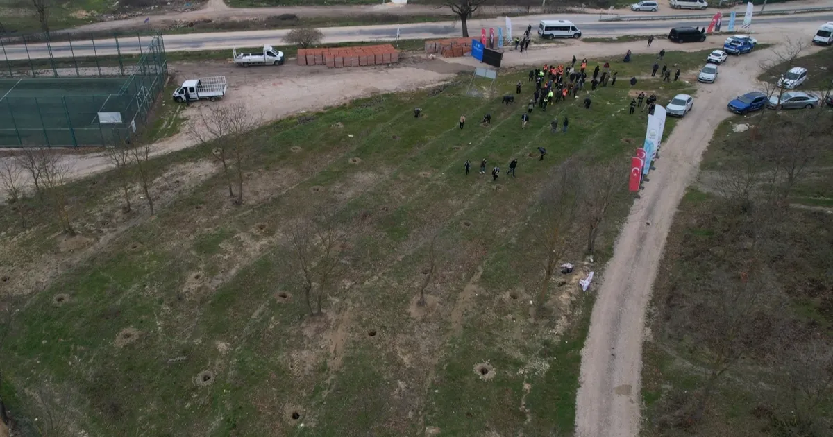 Nilüfer'de Unçukuru Mahallesi’ndeki atıl arazi Umut Ormanı oluyor - Gündem Haberleri