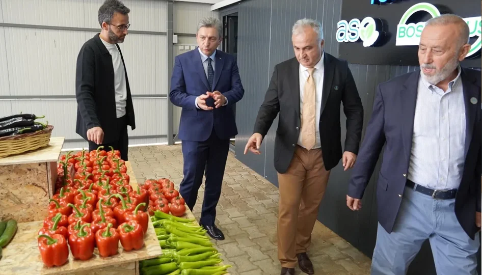 İhraç edilen biberler sınırdan döndü! Pestisit alarmı