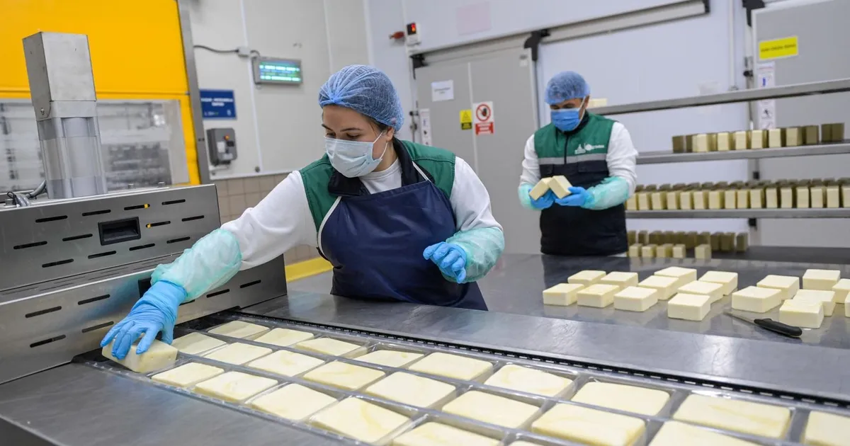 İzmir kırsalında büyük hamle... Destek 1,4 milyara çıktı