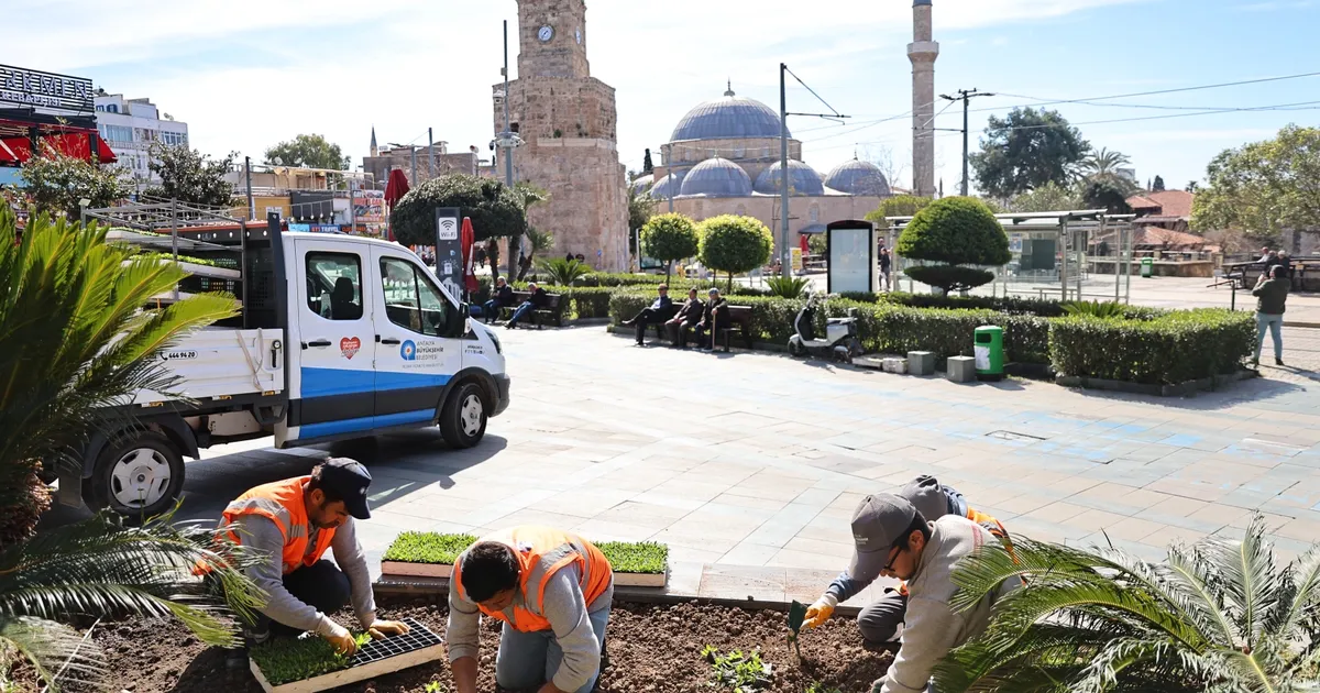 Antalya 4 milyon yazlık çiçekle bahara hazırlanıyor - Gündem Haberleri