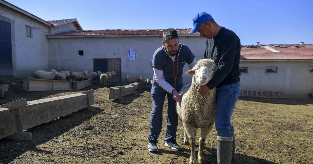 Ankara’da kırsaldaki üreticiye can suyu