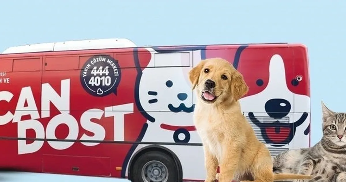 Balıkesir’de patili canlara mobil sağlık hizmeti