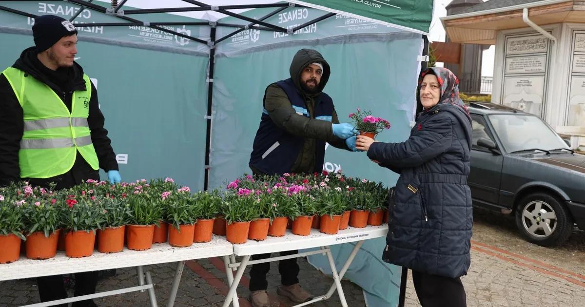 Kocaeli Büyükşehir'den ücretsiz binlerce çiçek