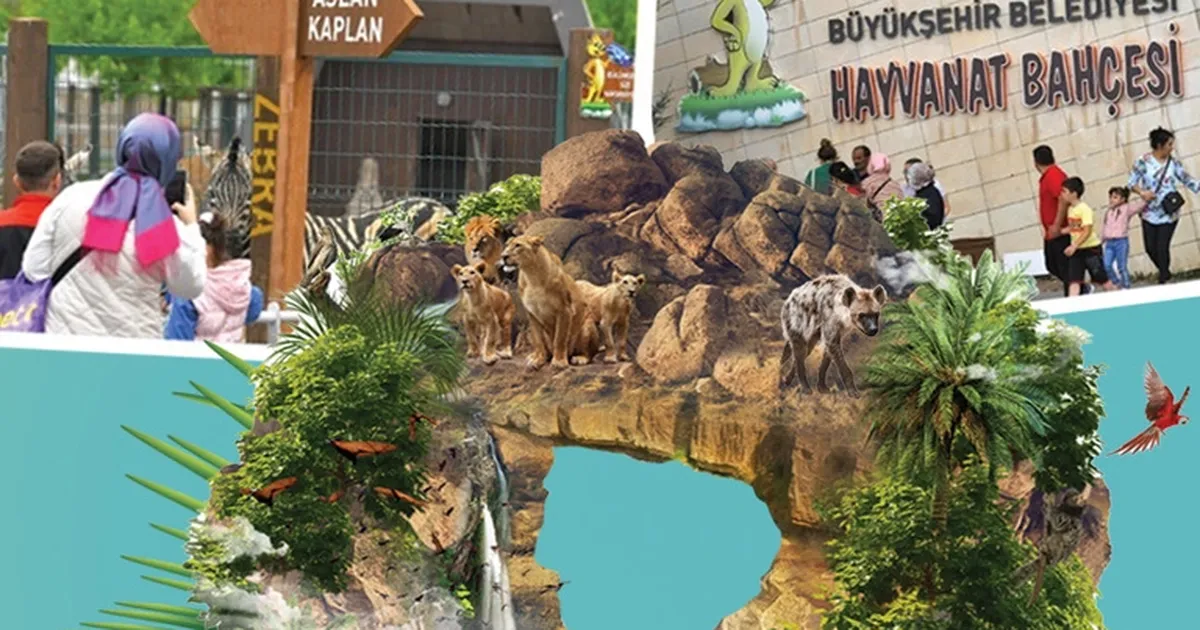 Kayseri'de hayvanat bahçesi ücretsiz - Gündem Haberleri