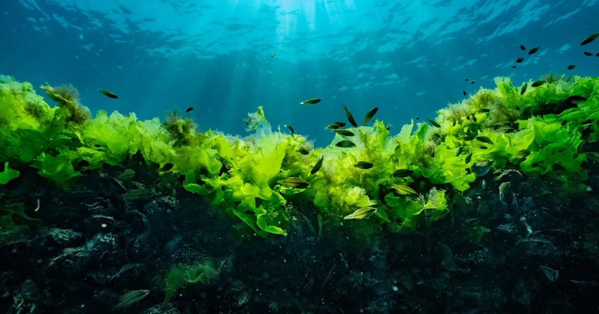 Prof. Dr. Sarı: Suya şaşı bakmayalım