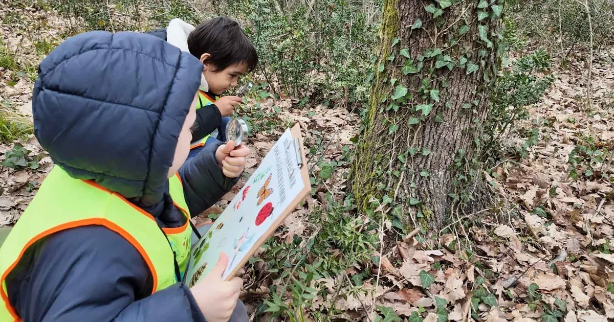 Lokomotif’in minikleri Ormanya’da keşfetti