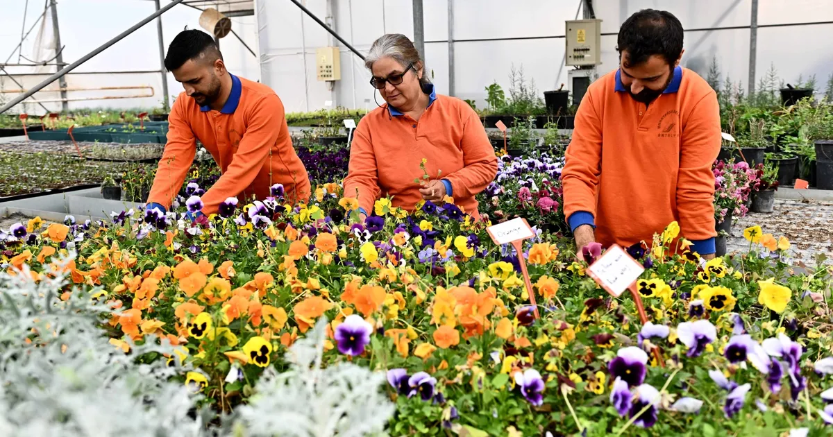 Antalya Muratpaşa’dan sürdürülebilir üretim modeli