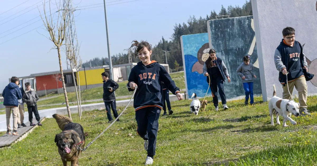 İzmir’de 2 bin 300 patili yuva bekliyor