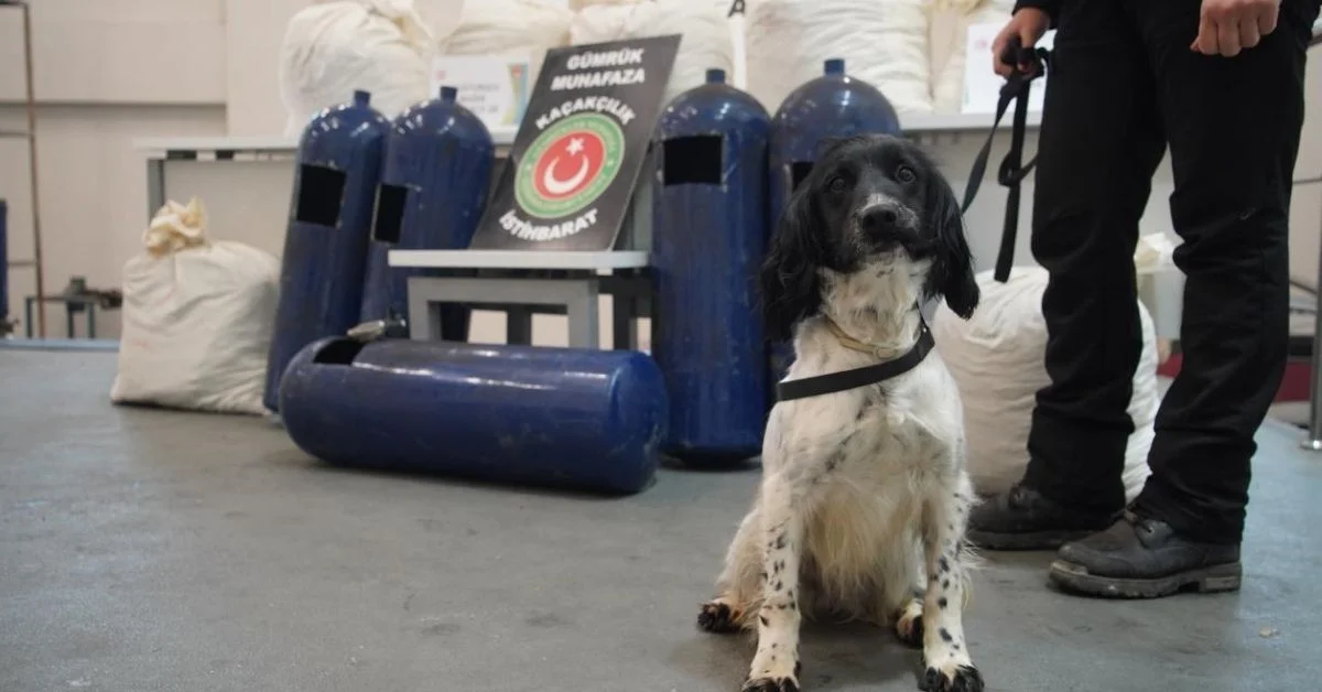 İpsala’da hassas burunlar uyuşturucuyu buldu