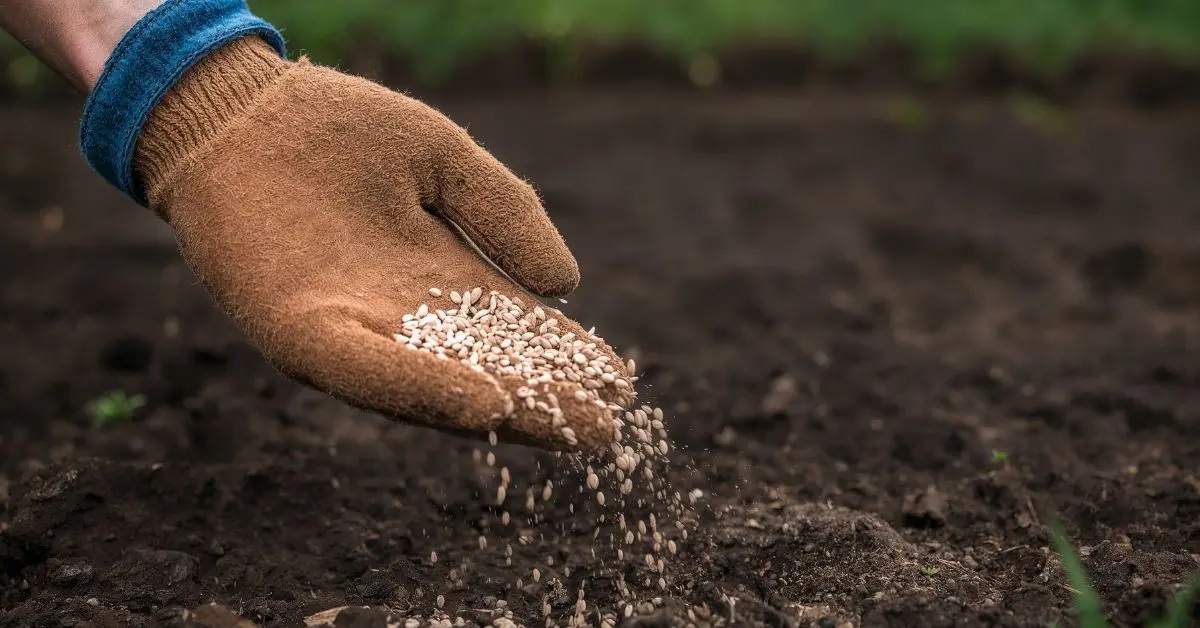 Gübre krizi iddialarına DMM'den yalanlama