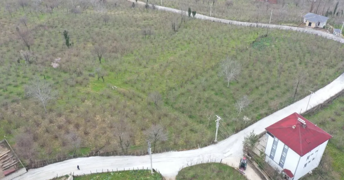 Ordu Büyükşehir’den Kumru’da yol seferberliği