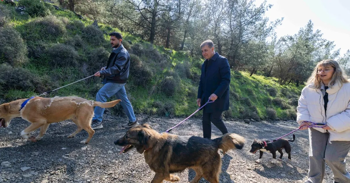 İzmir’de “tek sağlık” hamlesi