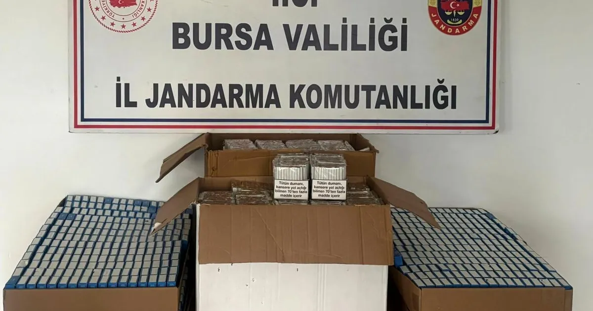 Bursa'da kaçak sigara operasyonu
