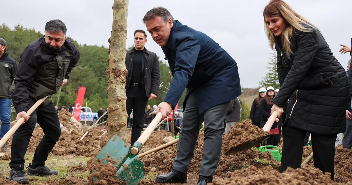 Şeyh Edebali’nin 700. yılında fidanlar toprakla buluştu
