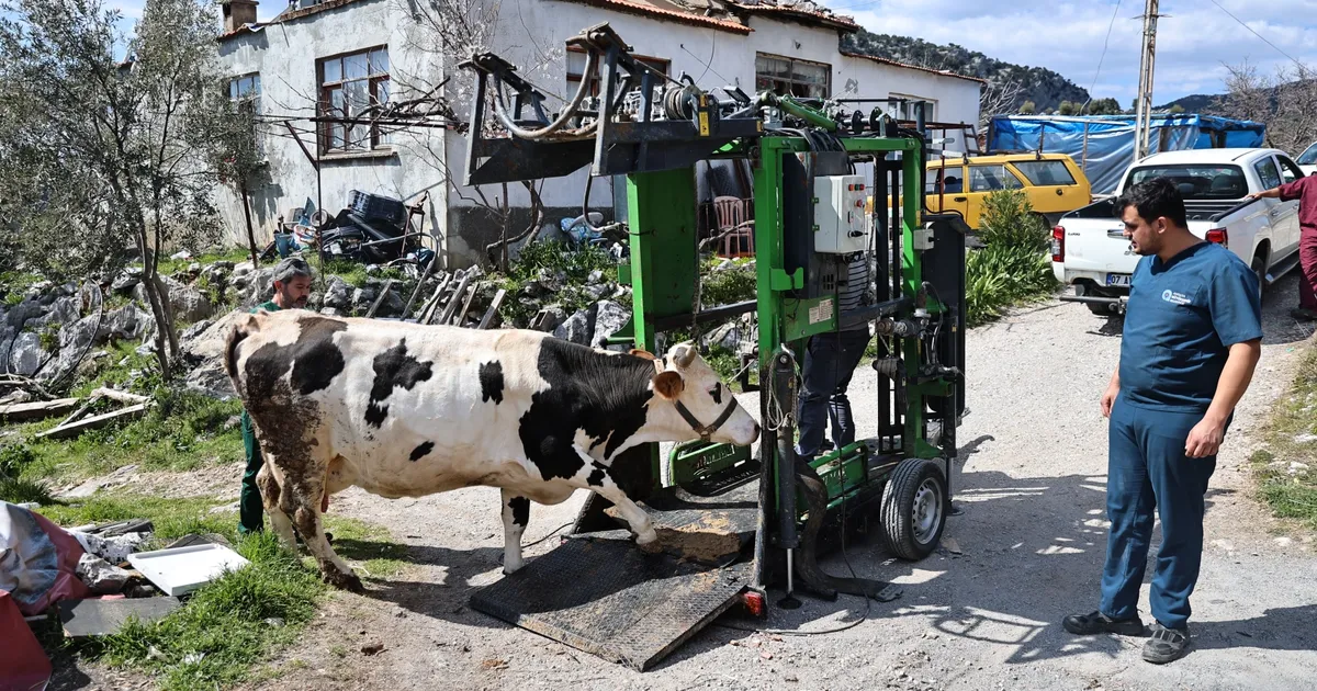 Antalya'da üreticiler yerinde verilen ücretsiz hizmetten memnun