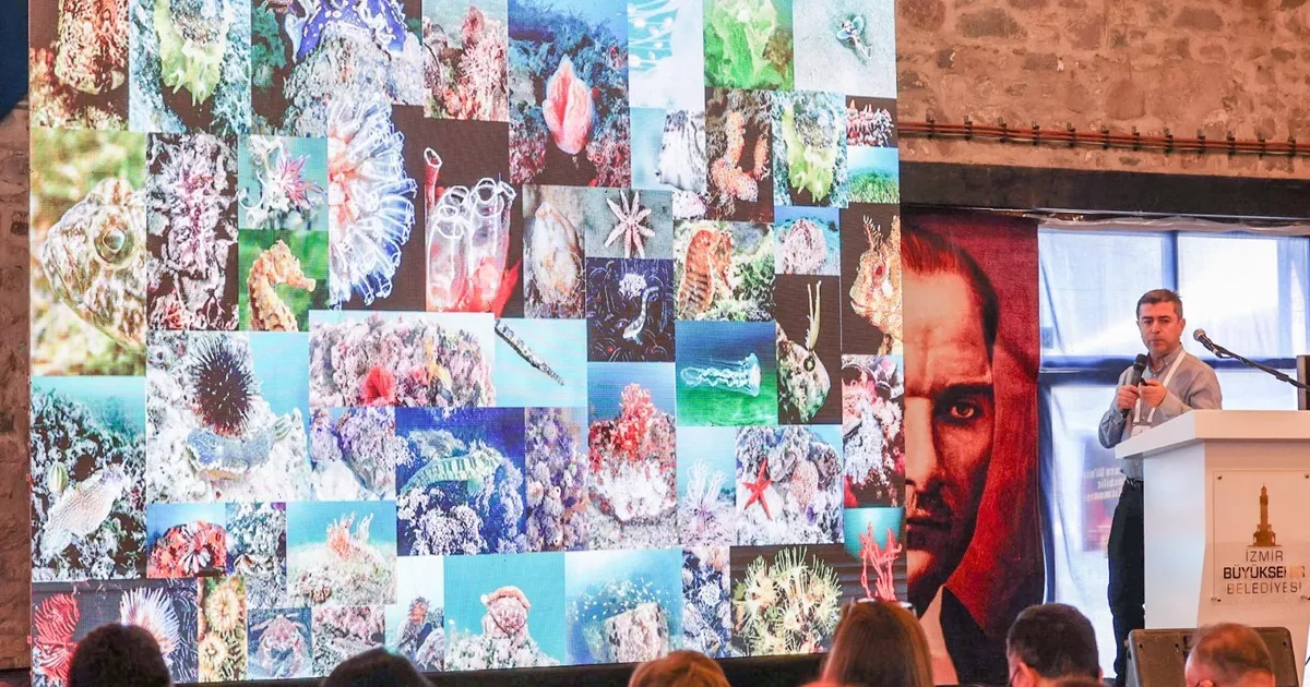 İzmir Körfezi'ne bilimsel bakış