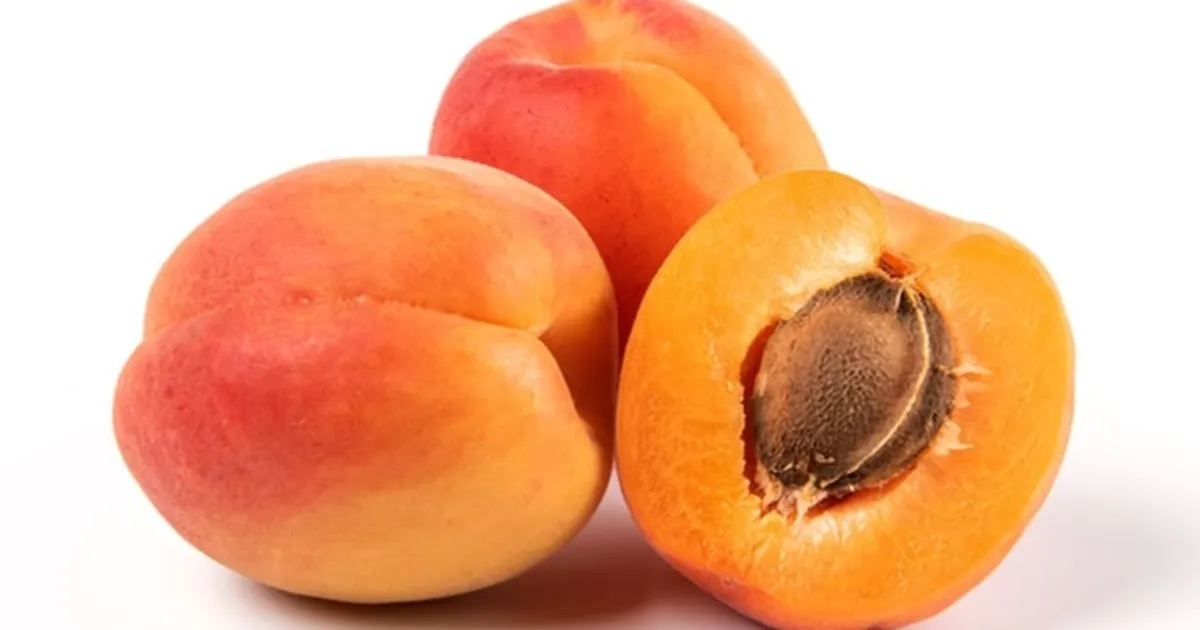 Bitkisel ürünlerde en yüksek yeterlilik kayısı ve zerdalide