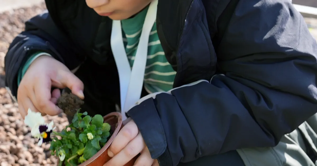 İstanbul Maltepe'de 'tarım parkı' minikleri ağırladı