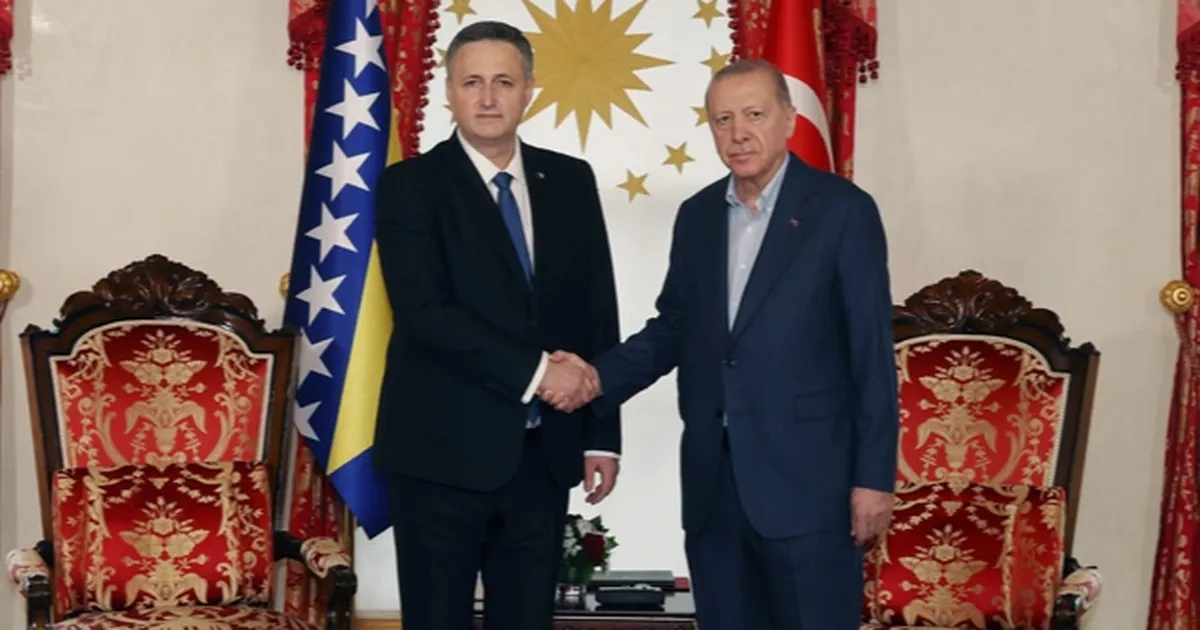 Cumhurbaşkanı Erdoğan, Beçiroviç'i Dolmabahçe'de ağırladı