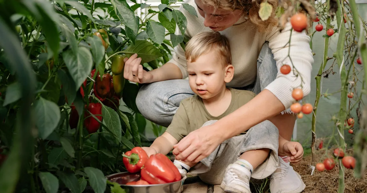 Sakarya’da çocuklar tarımın kaşifi olacak