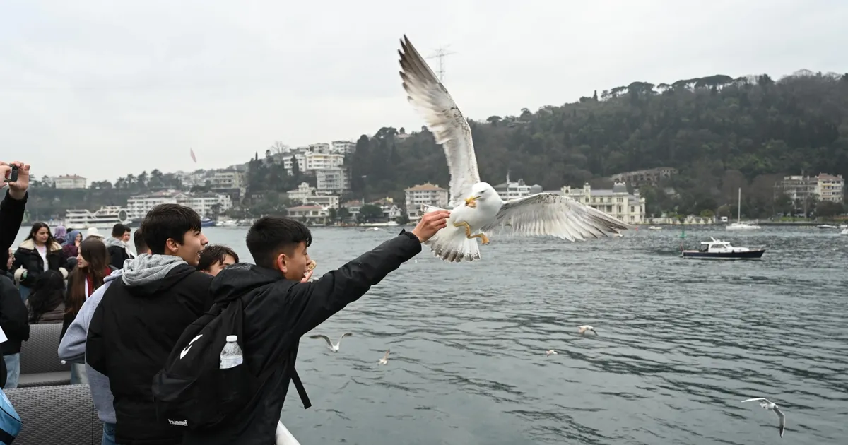 Konyalı genç seyyahlar bu yıl da İstanbul'la buluşacak