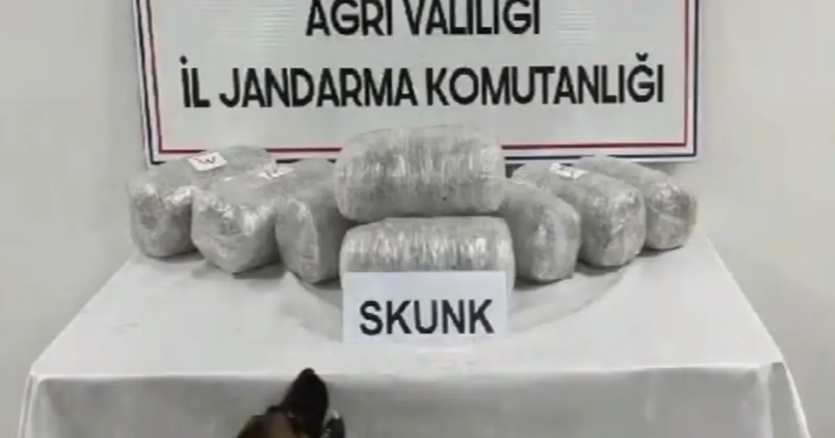 Ağrı’da 10 kilogram skunk ele geçirildi