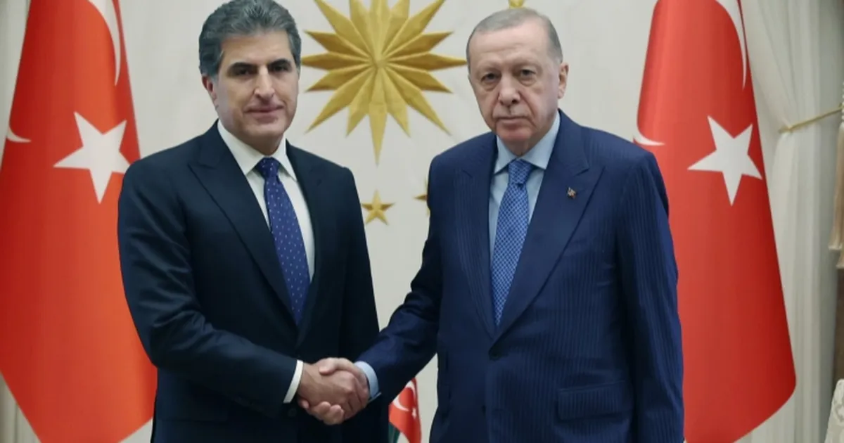 Cumhurbaşkanı Erdoğan, Barzani ile görüştü