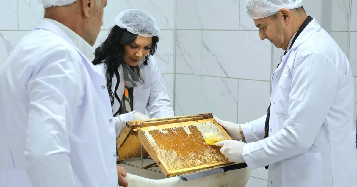 Artvin 'Bal Çalıştayı'na hazırlanıyor