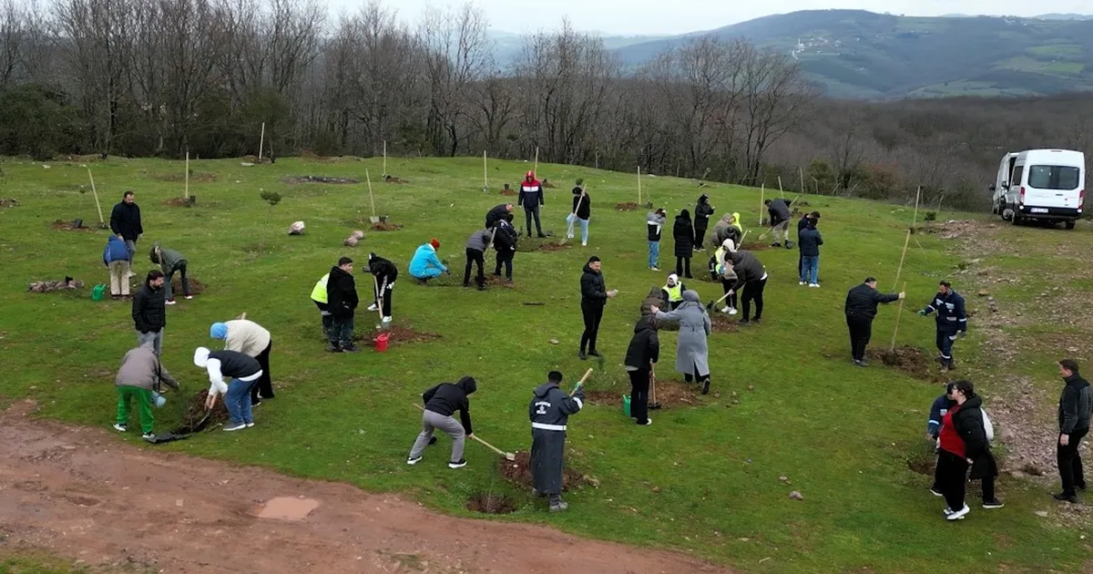 Kocaeli'de fidanlar engelsiz hayat için dikildi
