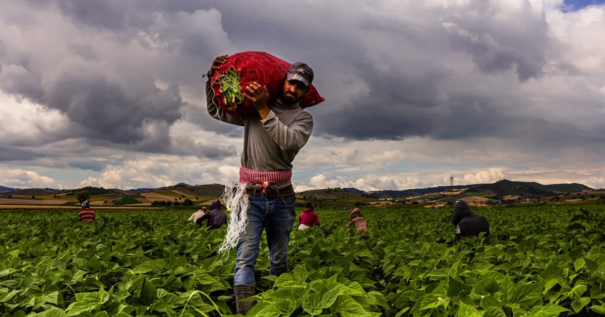 Bursa Yenişehir'de tarımı geliştiren, sanayi ve ticareti büyüten anlayış hakim